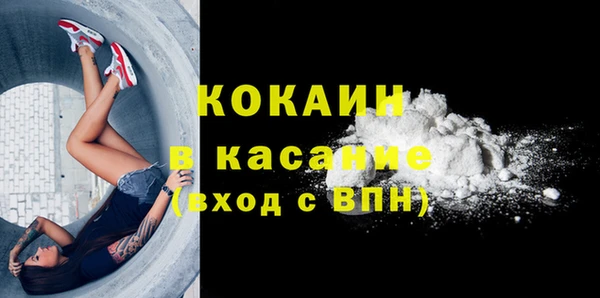стаф Арсеньев