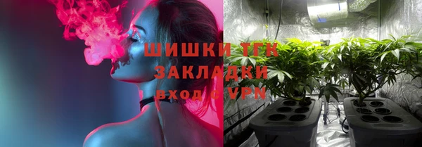 прущие грибы Балахна