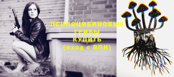 стаф Арсеньев