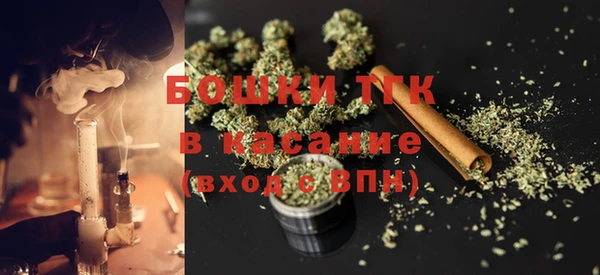 прущие грибы Балахна
